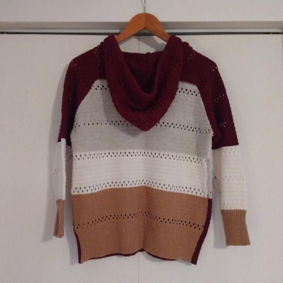 Striped Hooded Sweater - Picture 3 of 5